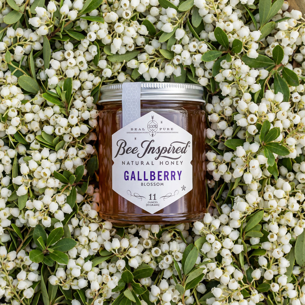 Jar of BeeInspired Gallberry honey surrounded by white flowers and green leaves