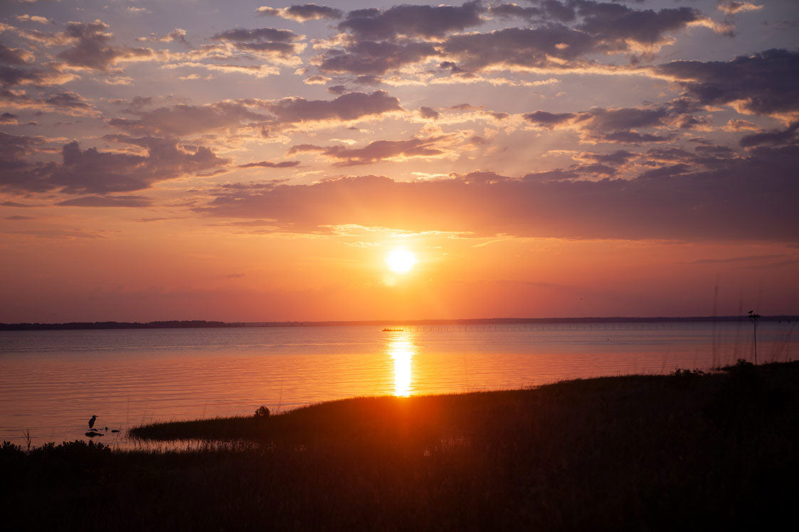 sunrise at chesterhaven beach farm