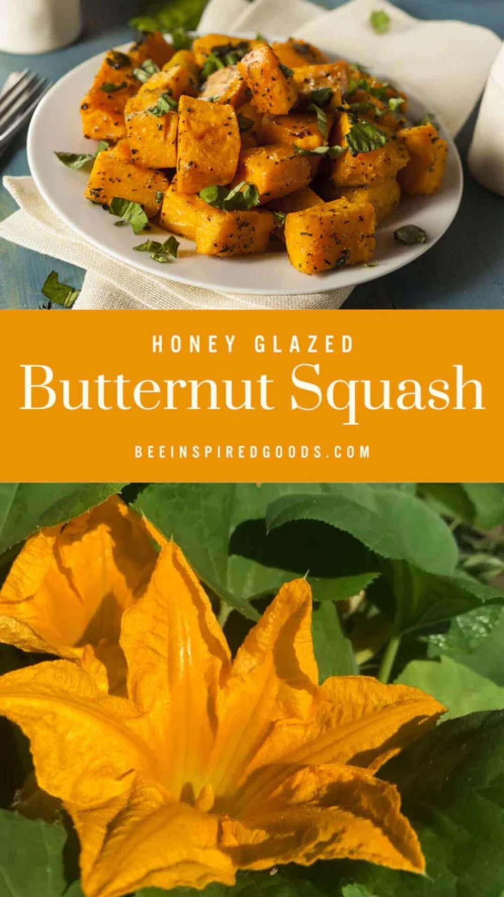 "Honey Glazed Butternut Squash beeinspiredgoods.com" with a squash blossom