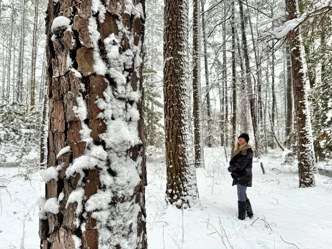Kara in woods in winter 