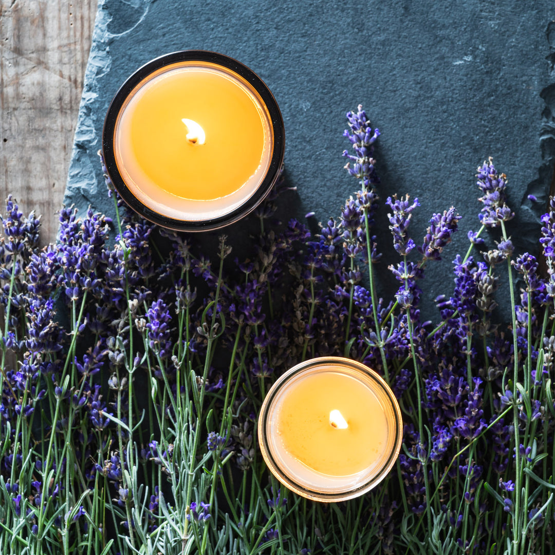 lavender luxe and jelly jar candles on fresh lavender