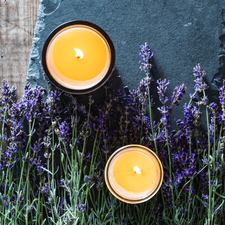 lavender luxe and jelly jar candles on fresh lavender