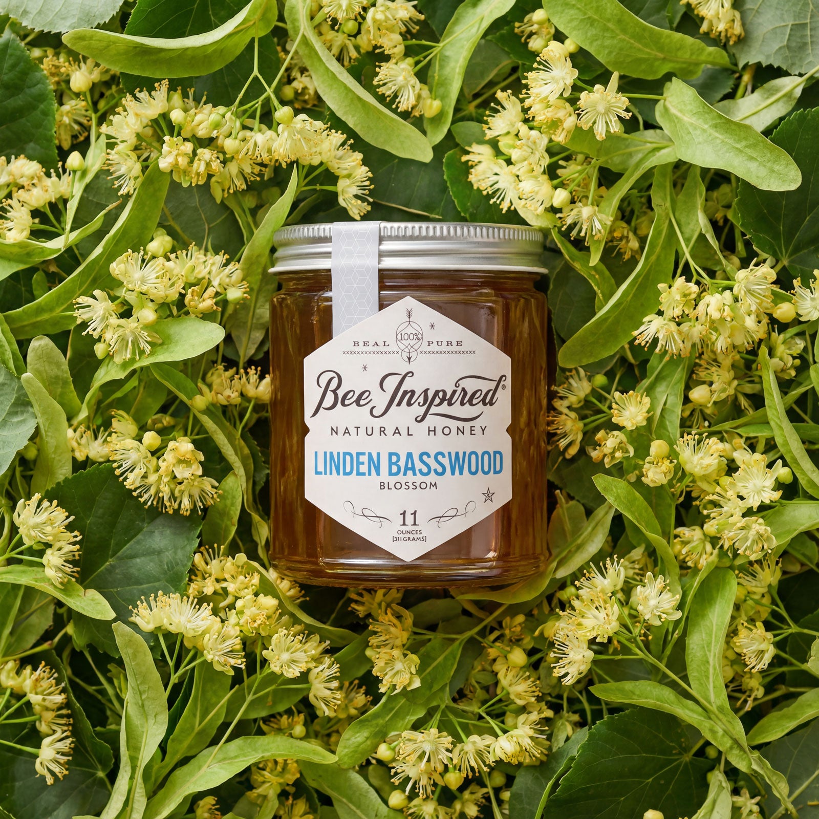 Rare Linden Basswood Honey - Raw & Pure | Bee Inspired Goods