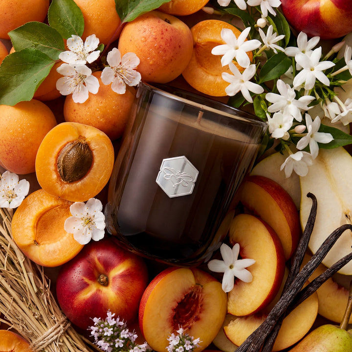 Candle surrounded by apricots, peaches, and vanilla beans with flowers.