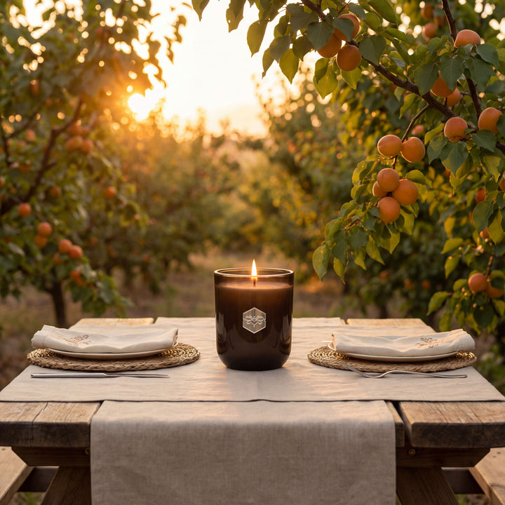 Candle on a table in an orchard with sunset lighting