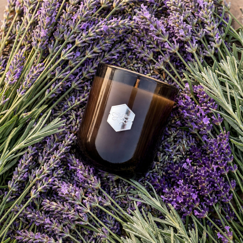 Brown candle with a white logo on lavender flowers