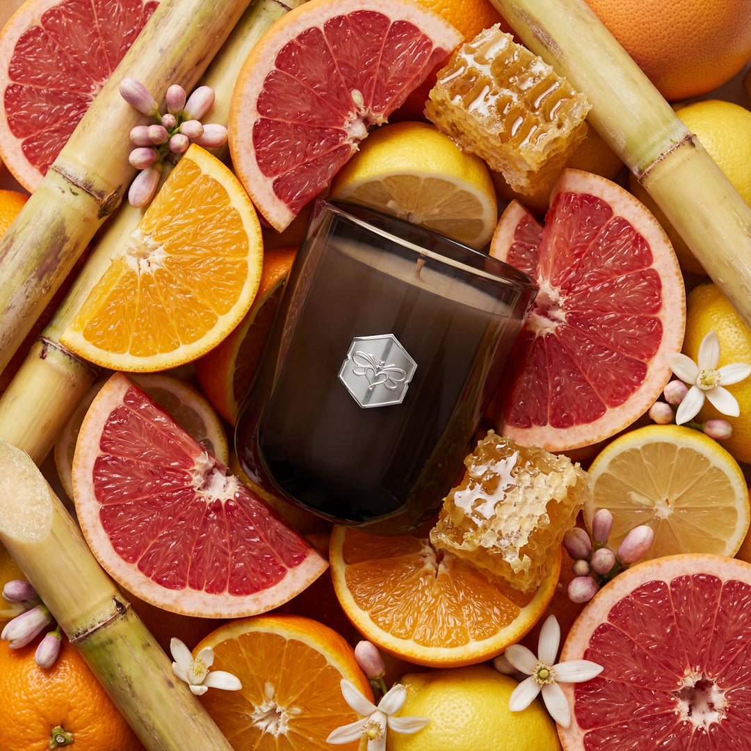 Dark liquid in a jar surrounded by citrus fruits and honey on a colorful background