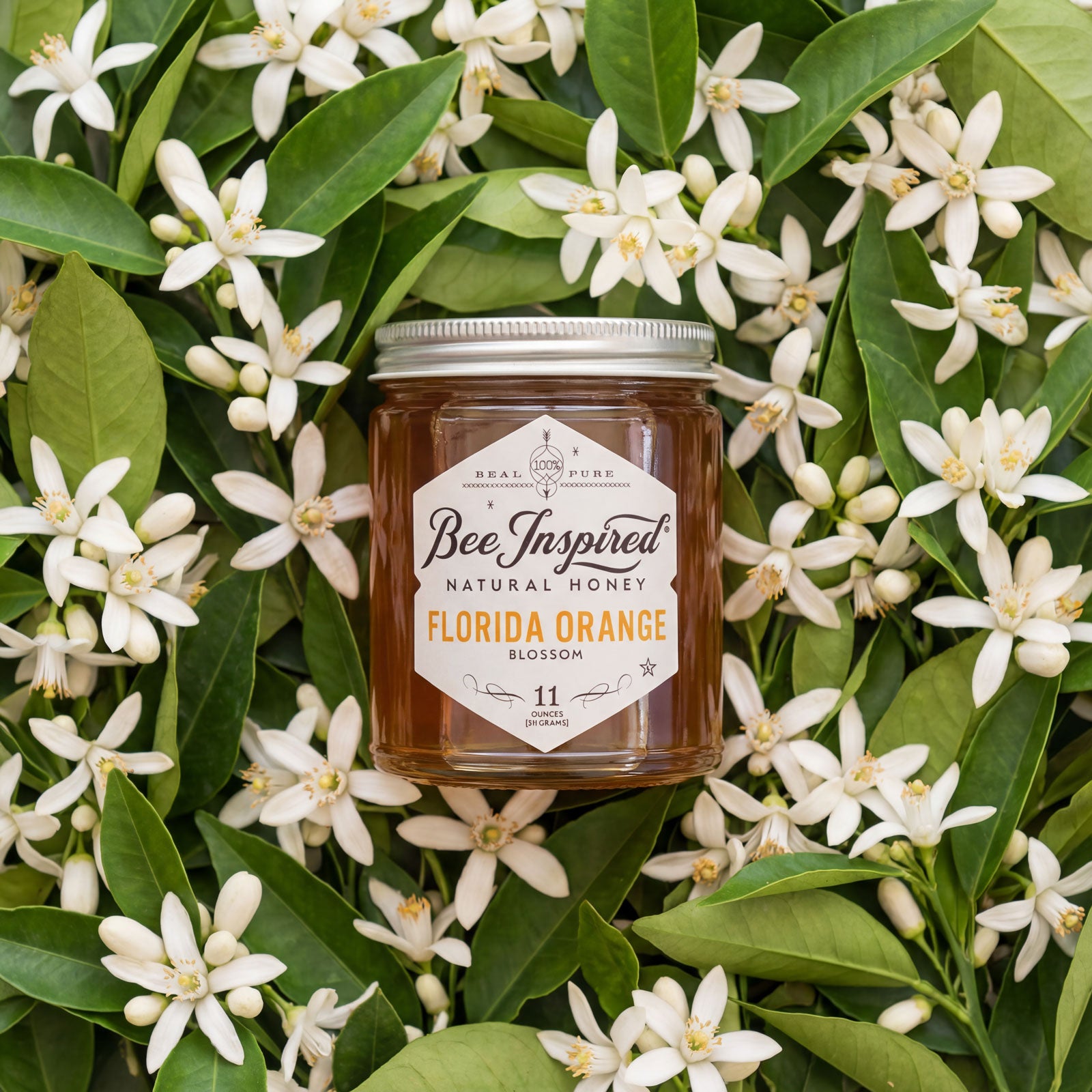 Raw Orange Blossom Honey: Florida Monofloral | Bee Inspired Goods