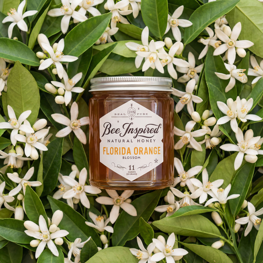 Jar of Bee Inspired Florida Orange honey surrounded by orange blossoms and leaves