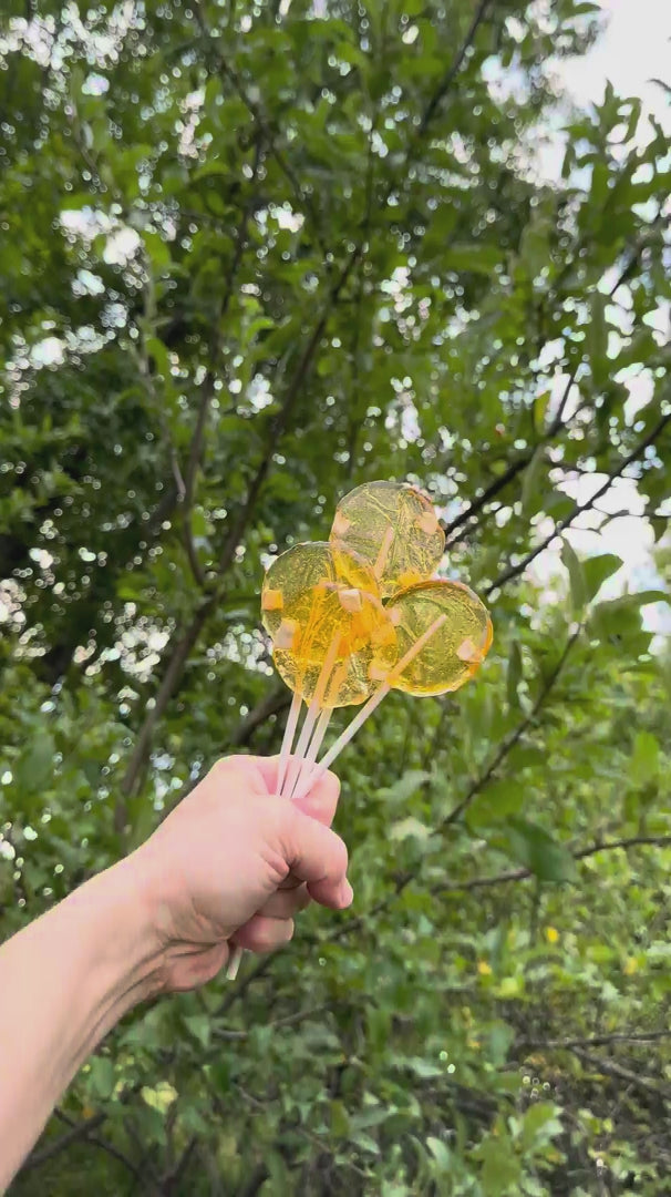 Apples and Honey Kosher Lollipops Box of 50