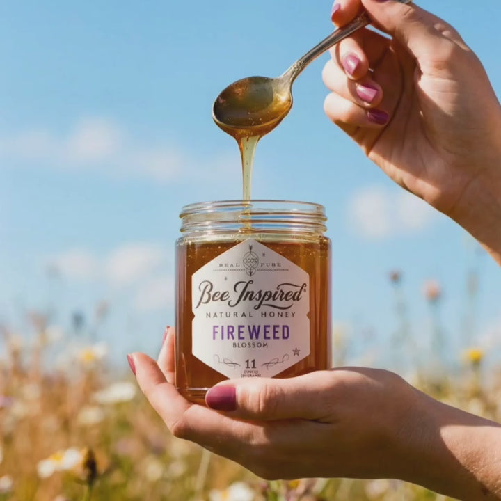 Drizzling Fireweed Honey with a spoon in front of a field.