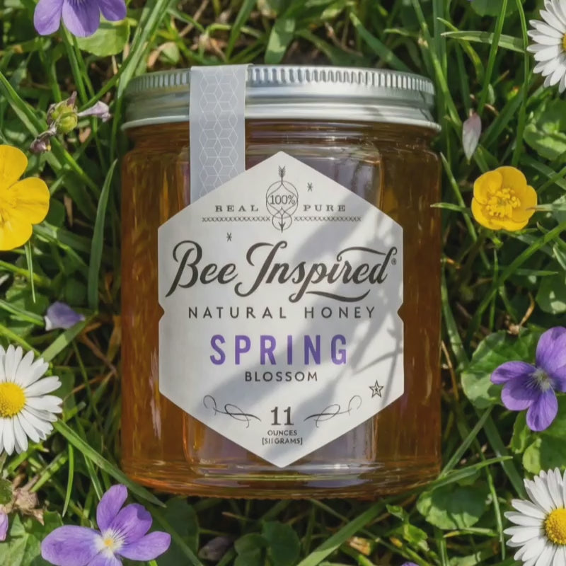 Spring Honey on grass with flowers