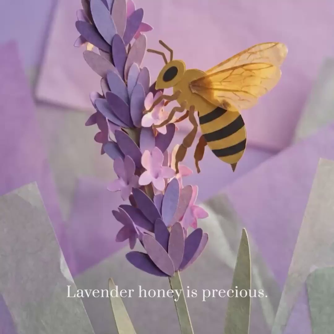 lavender honey cutpaper animation