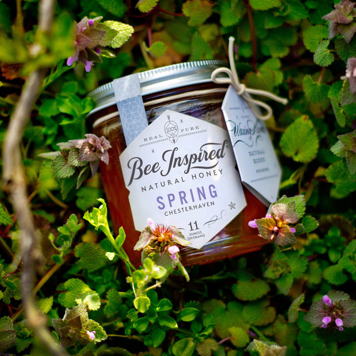 spring honey in flowers