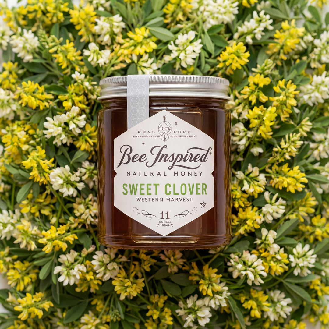 Jar of Bee Inspired Sweet Clover honey surrounded by flowers