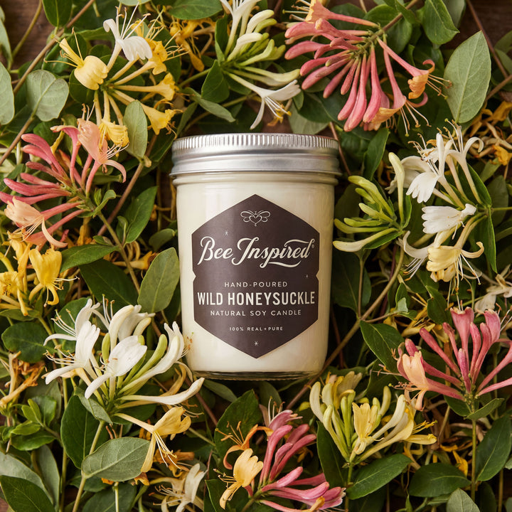 Wild Honeysuckle Soy Candle
